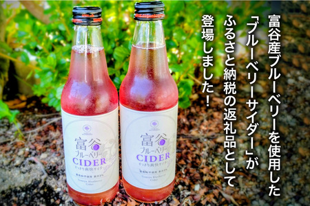 富谷ブルーベリーサイダー 340ml×6本 [0337]