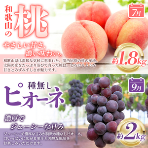 【全3回】紀州和歌山産旬のフルーツ定期便 (桃・梨・ピオーネ) / フルーツ 柑橘 和歌山 もも モモ 梨 なし ぶどう 葡萄 シャインマスカット ピオーネ 紫苑 【tkb424】