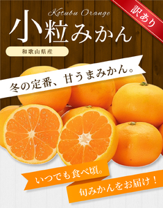 小粒みかん 約2kg 【訳あり】 森本農園の手選別 和歌山県産【BV-mrmt065】