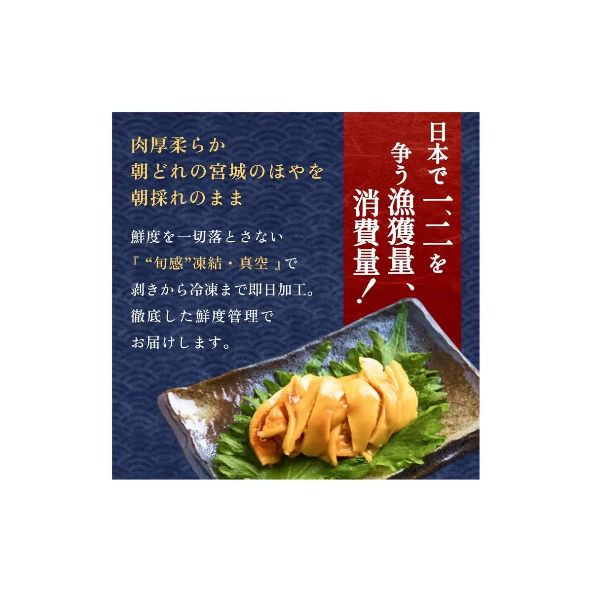 お刺身ほや 10個 セット ほや ホヤ お刺身 刺身 肉厚 珍味 おつまみ おかず 晩酌 海鮮 魚介 海産物 新鮮 冷凍 宮城県産 宮城県 石巻市