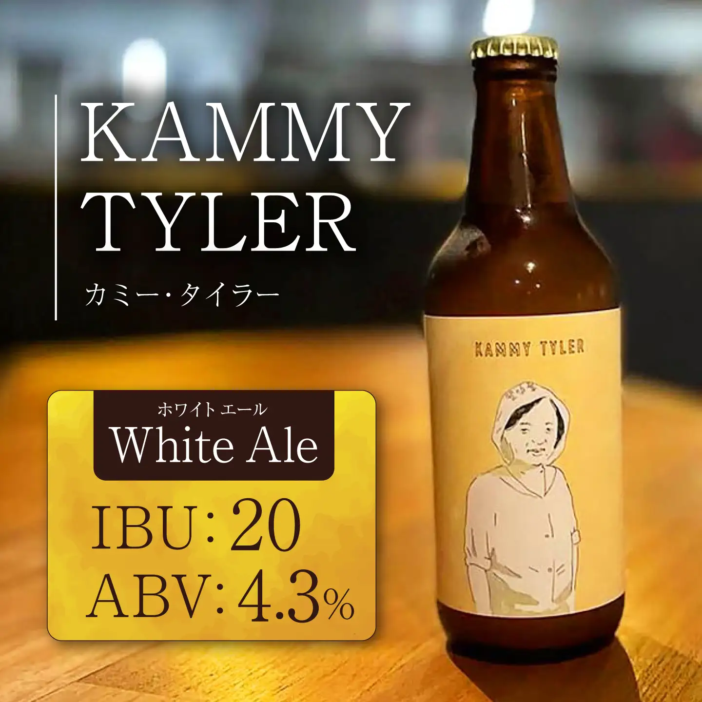 クラフトビール 3種セット 350ml×6本 / クラフトビール 飲み比べ 地ビール  BCDS001