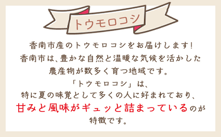 【令和8年6月中旬発送開始】トウモロコシ ２０本 家庭用 yr-0077