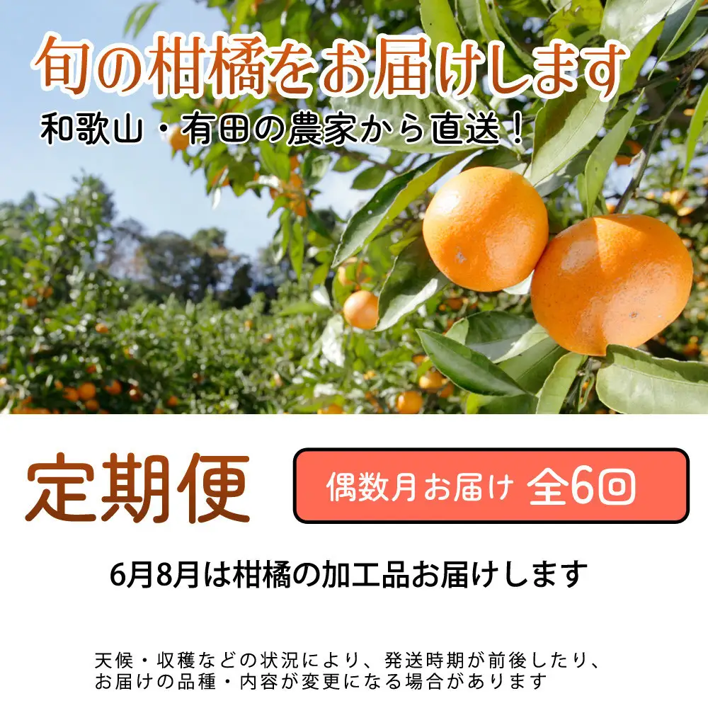 厳選 柑橘定期便S（偶数月）全6回［IKE286］