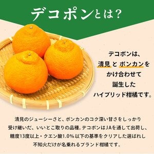 先行予約 ハウス栽培デコポン 約2.7kg  デコポン
