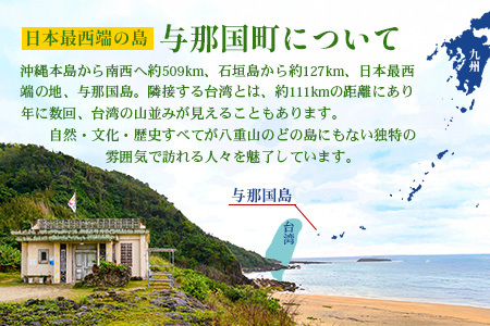 【返礼品なし】日本最西端の地 与那国島の未来の為の応援寄附(1000000円) 国境の島 与那国町 返礼品無し Y009