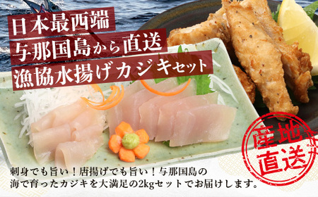 カジキの刺身とカジキの骨付き肉のセット G002