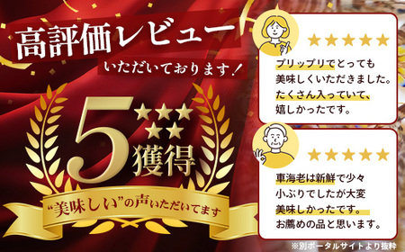 こだわりの車海老　有頭車海老（冷凍）250ｇ×3パック F009｜沖縄県 与那国町 与那国 車海老 車エビ 海老 えび エビ 産地直送