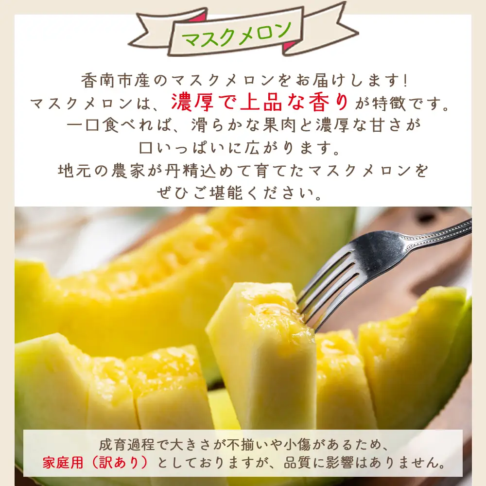 《先行予約》マスクメロン 1玉 家庭用 メロン yr-0088
