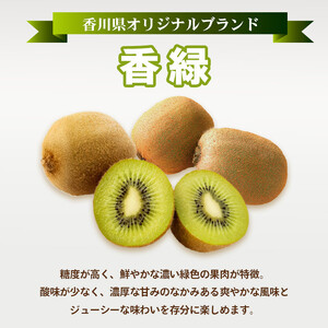 先行予約 キウイフルーツ 香緑 約1.2kg キウイ