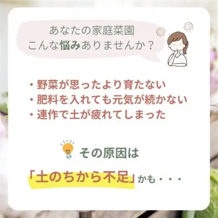 【微生物で土がよみがえる自然派土壌改良材】バクチャーアグリ60ml～家庭菜園用～【1668630】