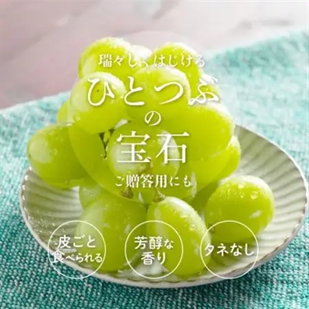 ぶどう先行予約!　シャインマスカット秀品　2房(約1.2kg)こだわり農家厳選!【配送不可地域：離島】【1676257】