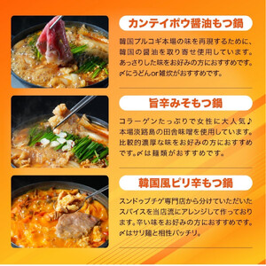 もつ鍋バラエティセット6人前(800g)