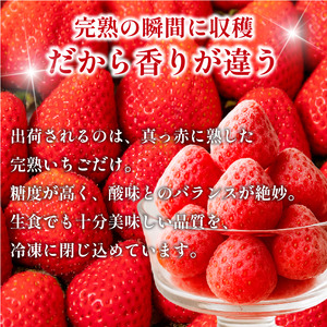 いちご 冷凍 オーガニック 1kg A品 いちご