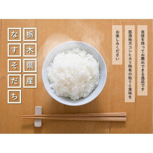 令和7年産 栃木県産コシヒカリ なすそだち 10kg JAなすの産地直送【大田原市・那須塩原市・那須町共通返礼品】