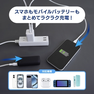 Owltech(オウルテック) 最大PD20W出力 GaN採用 USB Type-C×1 USB Type-A×1 AC充電器 OWL-APD20C1A1G-BK ブラック【 神奈川県 海老名市 】