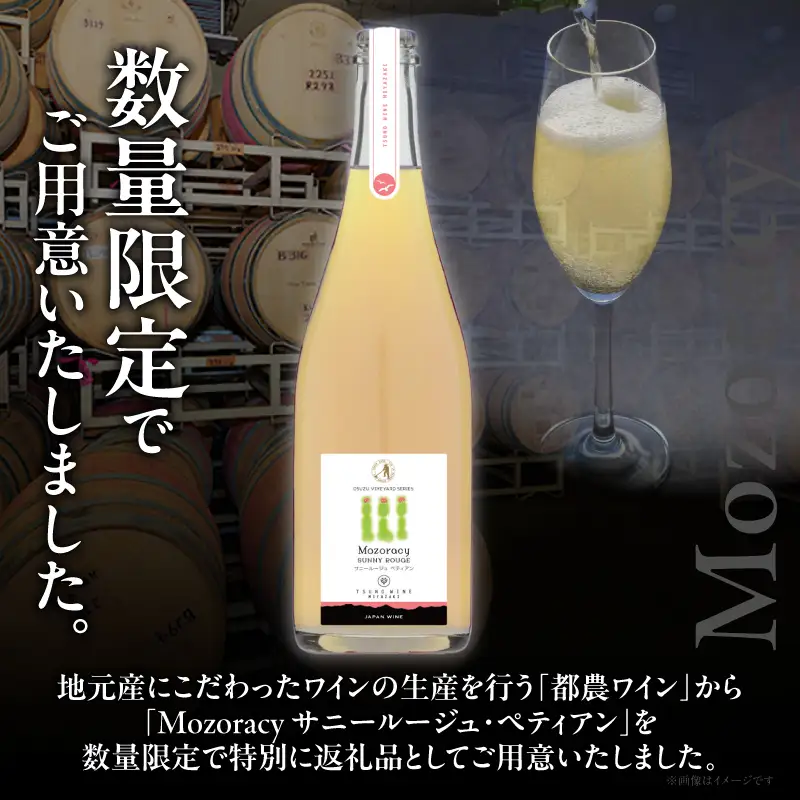 【数量限定】Mozoracy サニールージュ ペティアン(計1本) ワイン 酒 アルコール 国産_T014-0525