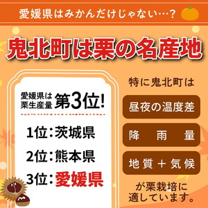 【鬼の栗拾い】鬼北町産くり 約3kg ｜ 大粒 生栗 和栗 国産栗 地域限定 丹波栗 くり 栗 栗ご飯 生栗 果物 フルーツ 先行予約 数量限定 JA えひめ南農業協同組合 ※2026年9月～発送 