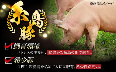 【全3回定期便】合計4.6kg！糸島豚食べ尽くしセット(とんかつ、肩ロース、しゃぶしゃぶ、豚バラ、スペアリブ、小間切れ) 糸島市 / トラヤミートセンター 豚肉 セット[AJD023]