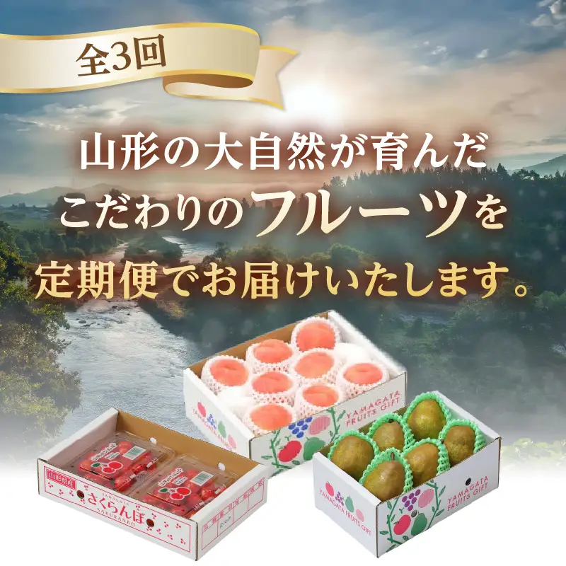 【発送月固定】山形旬彩！こだわりフルーツ定期便全３回Ｃ 063-T03