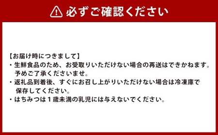 味付け肉 セット 牛カルビ 牛ハラミ 自家製だれ 計約1.2kg ／ 味付肉 牛肉 お肉 肉 カルビ カルビ肉 ハラミ ハラミ肉 ホルモン 九州 熊本県 熊本市 冷凍
