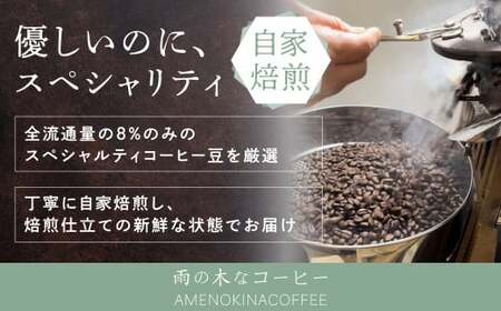 【雨の木なコーヒー】スペシャルティコーヒー ドリップバッグ 12個セット