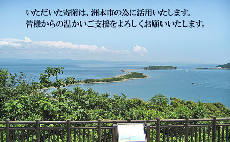 返礼品なし 洲本市応援寄附 ふるさと納税 寄附のみ 応援 淡路島 洲本市