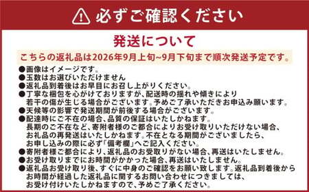 吉野梨 秋月 約5kg 【2026年9月上旬発送開始】 なし ナシ 梨 秋月梨 果物 くだもの フルーツ 熊本県産 