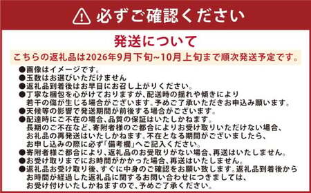 吉野梨 新高 約5kg 【2026年9月下旬発送開始】 なし ナシ 梨 新高梨 果物 くだもの フルーツ 熊本県産 
