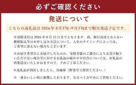 熊本県産 シャインマスカット 2房 約1.2kg前後 マスカット フルーツ 果物 【2026年8月下旬発送開始】