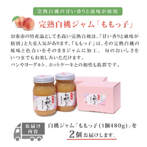 桃ジャム「ももっ子」 480g  2本セット [桃 もも モモ ジャム トースト 朝食 フルーツソース 果物 フルーツ 手作り］ ジュレ 