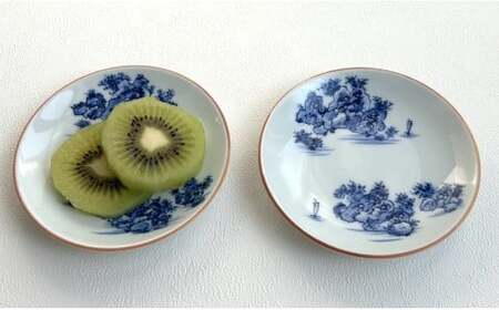 有田焼 山水絵小皿セット（2枚1組）【起山窯】食器 うつわ 器 取り皿 小皿 山水絵 30000円 A30-646
