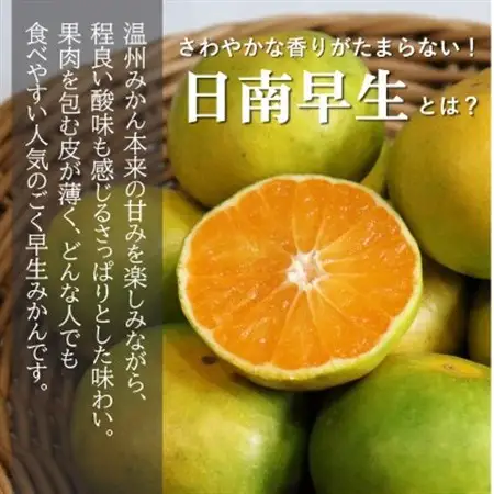 【先行受付】甘酸っぱさを楽しむ!人気の極早生みかん 日南早生みかん 5kg(2026年10月～発送)【1680046】