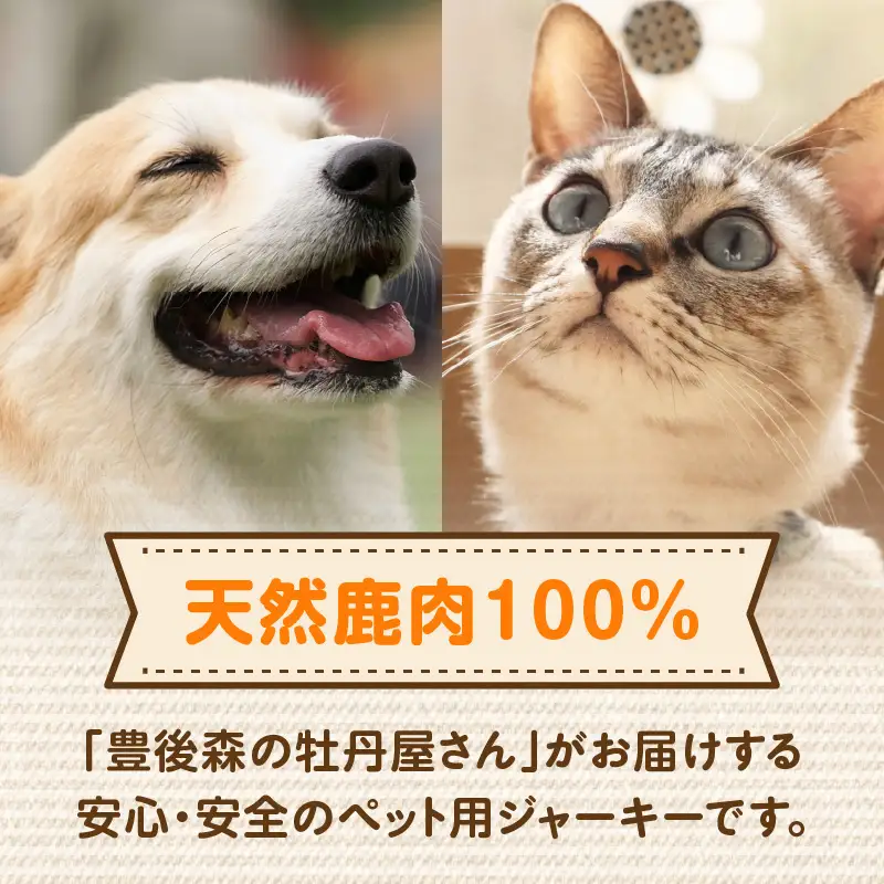 【ペットフード（犬・猫用）】 鹿肉ジャーキー 50g×2パック R15015