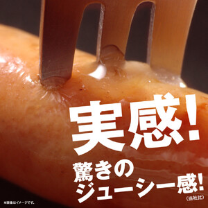 豊潤 ウインナー 80g x 2束 6パック | ウインナー_05346