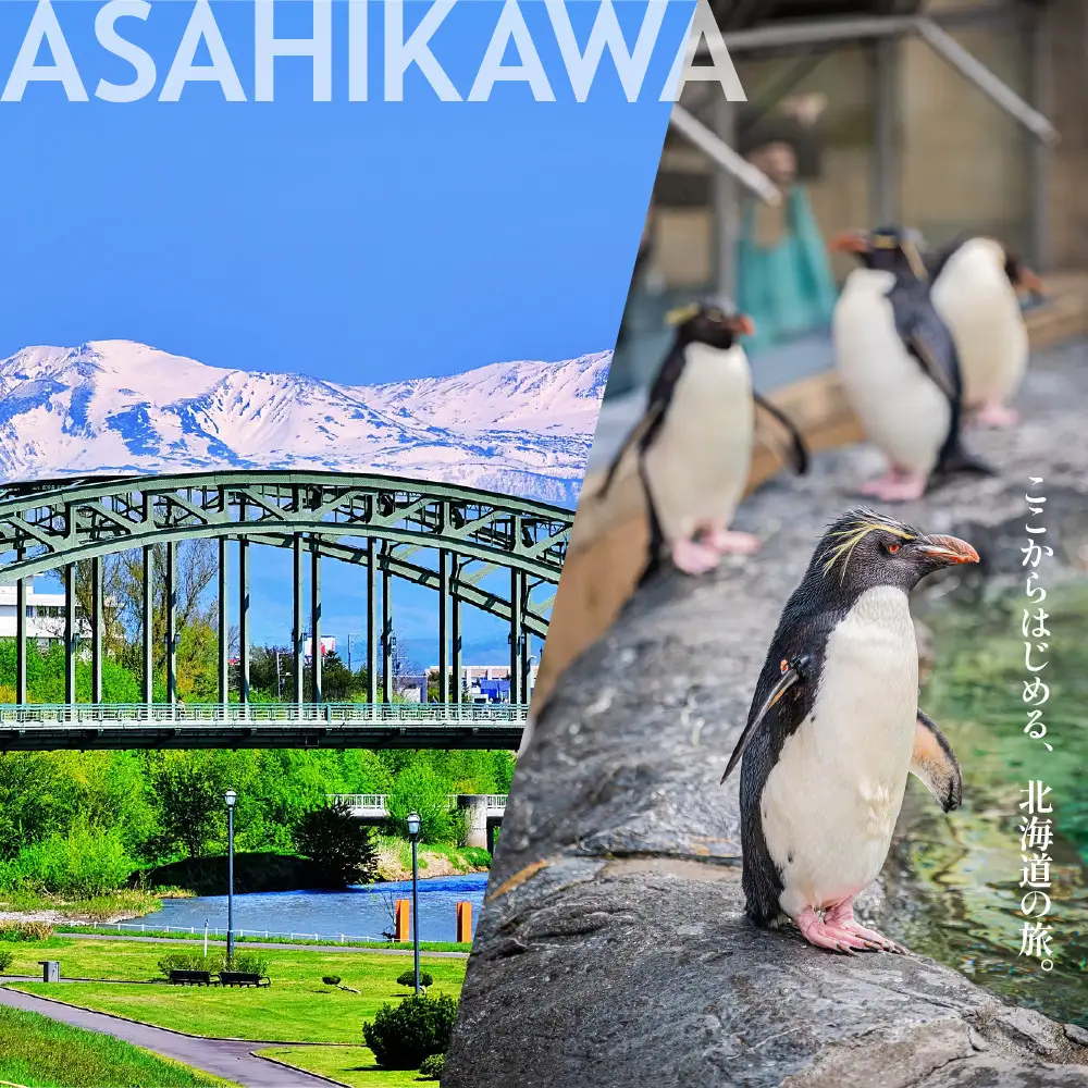 【北海道ツアー】旭川市 後から選べる旅行Webカタログで使える！旅行クーポン 30万円分 | トラベル 宿泊 観光 体験 ホテル チケット_04886