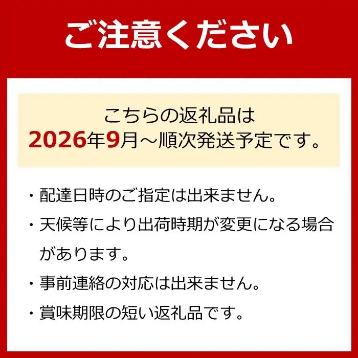 ［先行予約・2026年発送］朝採れ完熟シャインマスカットと和梨 大満足セット 約4kg