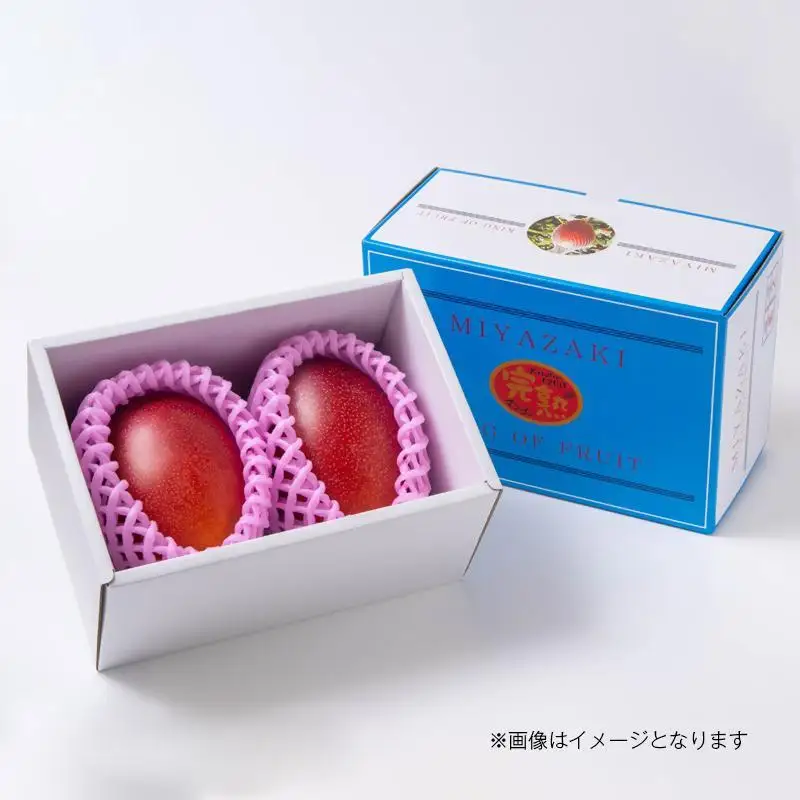 6月発送【先行予約】最高級ブランド『太陽のタマゴ』4L×2個【糖度15度以上】宮崎県西都市産完熟マンゴー＜68-3a＞宮崎マンゴー 果物 フルーツ 甘い