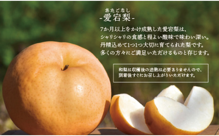 あたご梨 上級品 2玉入(1.0kg級/玉) (岡山県産) / 和梨 【KF-C004-02】