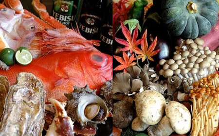 【食彩工房 舎人】人気の舎人コース 4名様分 食事 チケット お食事券 4名 東京 吉祥寺
