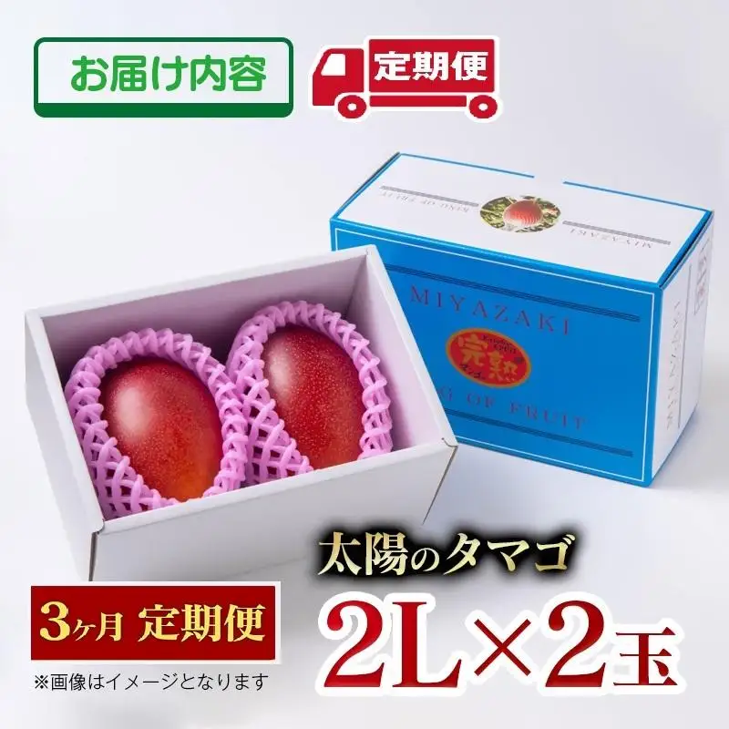 【3カ月定期便】先行予約　最高級ブランド『太陽のタマゴ』2L×2個×3回【糖度15度以上】宮崎県西都市産完熟マンゴー＜68-5a＞宮崎マンゴー 果物 フルーツ 甘い