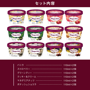 【着日指定できます】ハーゲンダッツ『ミニカップ12個セット（定番フレーバー＆ガナッシュショコラ）』アイスクリーム アイス スイーツ デザート_H0016-114
