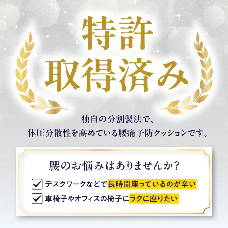 腰痛予防に！体圧分散 フォーケアクッション ProAir R11011