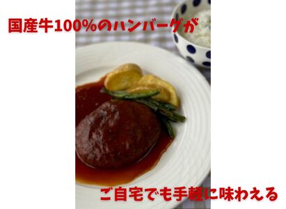 ミートフーズウスイ にこにこセット レストランハンバーグ 煮込みハンバーグ 国産牛 温めるだけで食べられる オリジナル 和風ソース ケチャップソース 湯煎 電子レンジ 父の日 1T08011