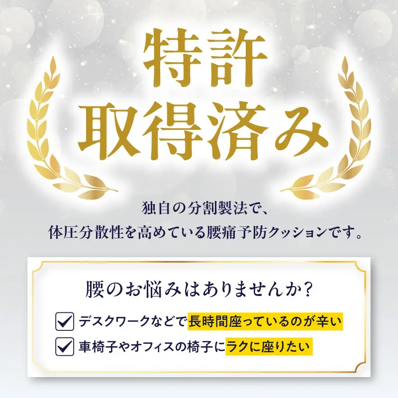 腰痛予防に！体圧分散 フォーケアクッション Proプラス R11012