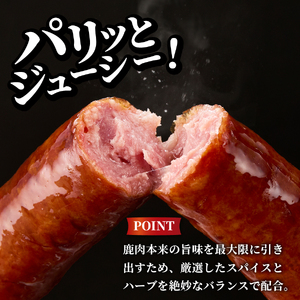 ジビエセットとふじやまビール（デュンケル）