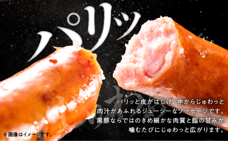 鹿児島 黒豚 ショートウィンナー 900g KN005-012-02 肉 豚肉 冷凍 ソーセージ