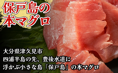 まぐろ まぐろ 中トロ 切落し 100g | 津久見市