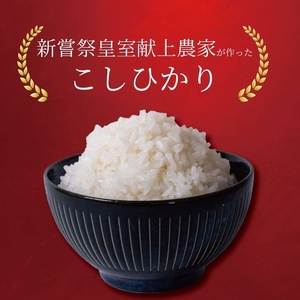 こしひかり 10kg×6回 こしひかり 新米 令和8年産 精米 AS020