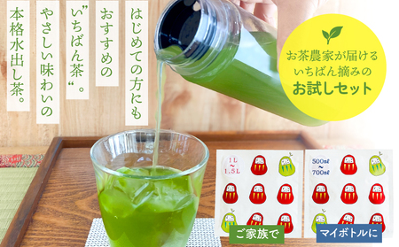 お茶 農家 の 水出し 緑茶 ティーバッグ（ お試しセット ） KN166-003 茶