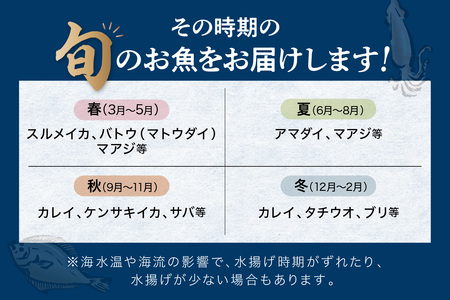 この男にお任せ！浜田の厳選鮮魚お試し便（下処理なし） 【006_2054】